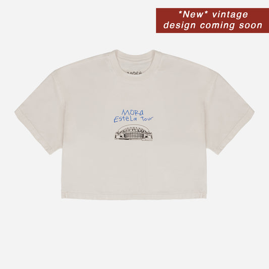 Choli Cropped T-shirt