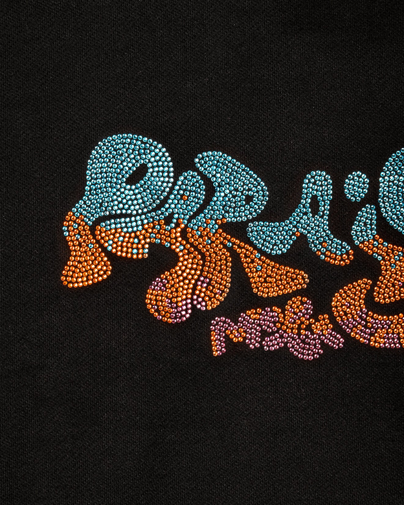 Paraiso Black Rhinestone Hoodie