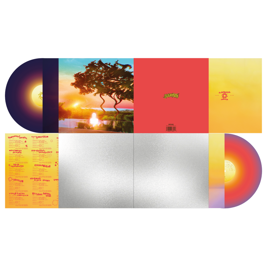 Una Caja de Vinilos
